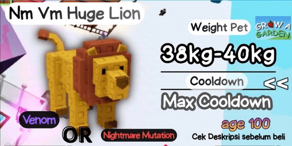 Gambar Product Nightmare / Venom / Everchanted Lion | 38kg - 39kg - 40kg+ | Banana cat shop