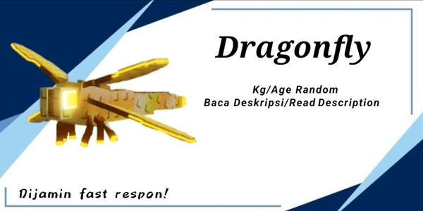 Gambar Product Dragonfly