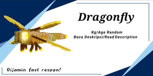 Dragonfly