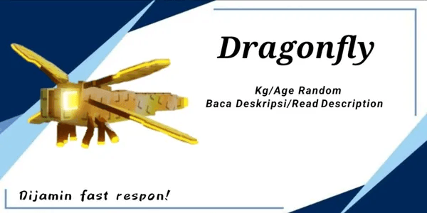 Dragonfly
