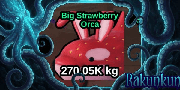 Gambar Product Big Strawberry Orca