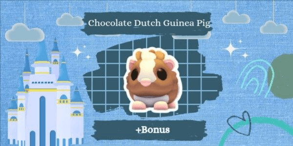 Gambar Product Chocolate Dutch Guinea Pig + Bonus