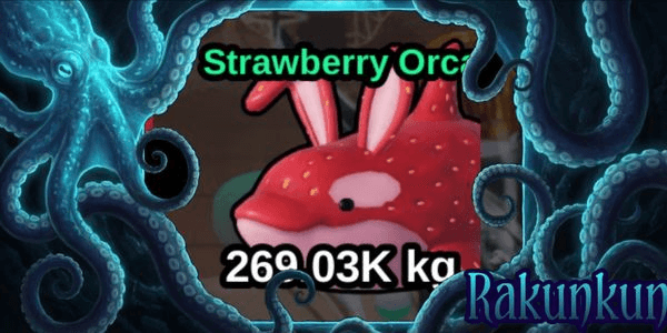 Gambar Product Strawberry Orca