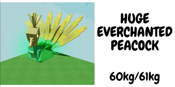 Gambar Product Huge Peacock