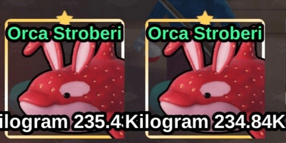 Gambar Product Strawberry Orca