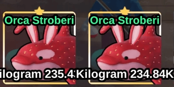 Strawberry Orca