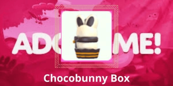 Gambar Product Chocobunny Box