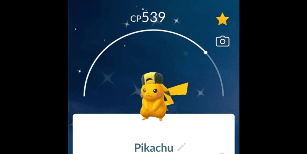 Product Showcase
