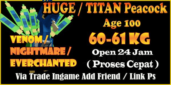 Titan Peacock