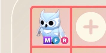 Gambar Product Snow Owl MFR