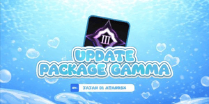 Update Package Gamma