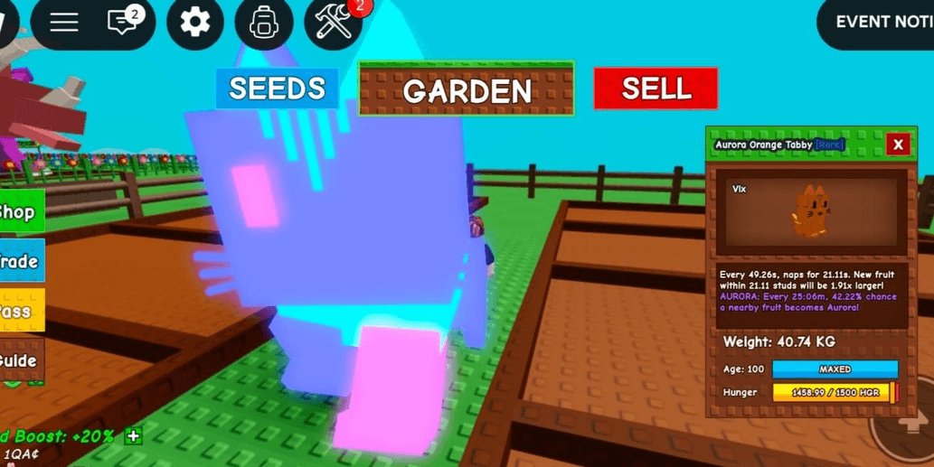 Product Showcase