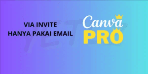 Pro 1 Month