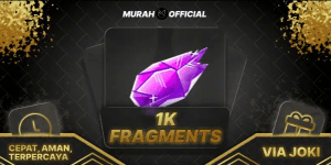 1K Fragment