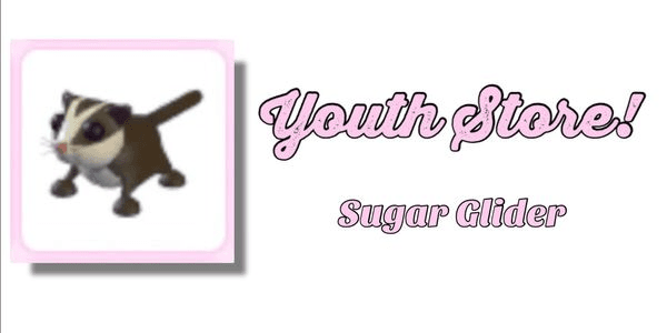 Gambar Product Sugar Glider