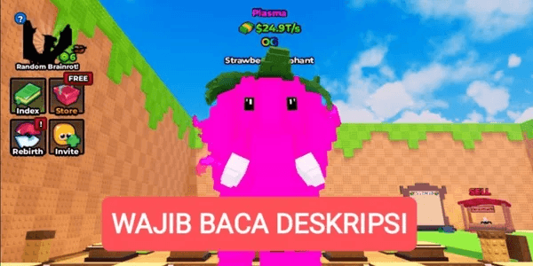 24.9T+/s Strawberry Elephant