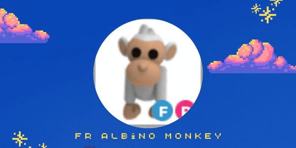 Gambar Product Albino Monkey FR