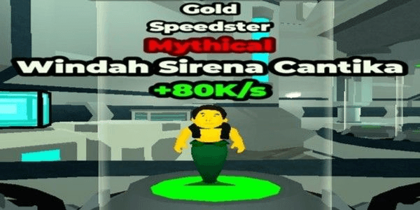 Product Showcase