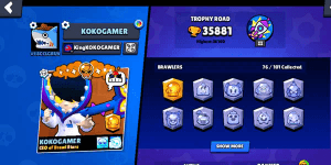 Brawl Stars Accounts - Cheap & Guaranteed
