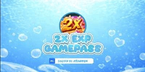 2x EXP