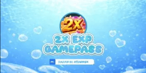 2x EXP