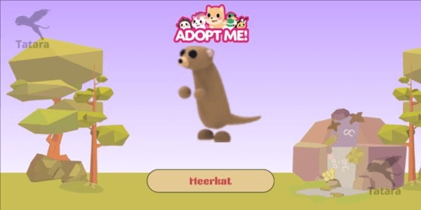 Gambar Product Meerkat