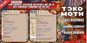 Gin Samael Assasin Weapon LnR XG+9 Opt Damage tunning DG IDI GG!