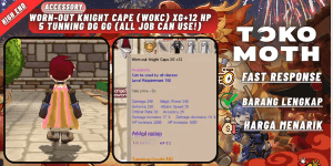 Worn-out knight cape (WOKC) XG+12 Hp 5 tuning DG GG (all jobs can use!)