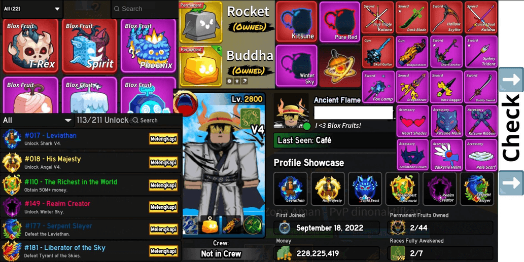 Product Showcase
