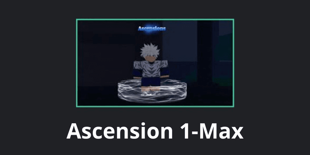 Product Showcase