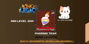 Phoenix Tear ( King Legacy )
