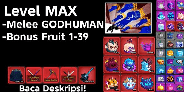 AKUN LEVEL MAX GODHUMAN