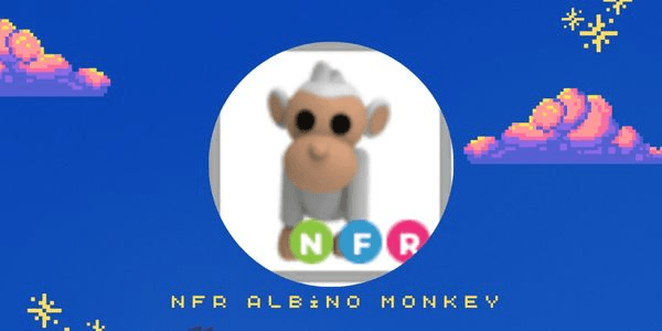Gambar Product Albino Monkey NFR