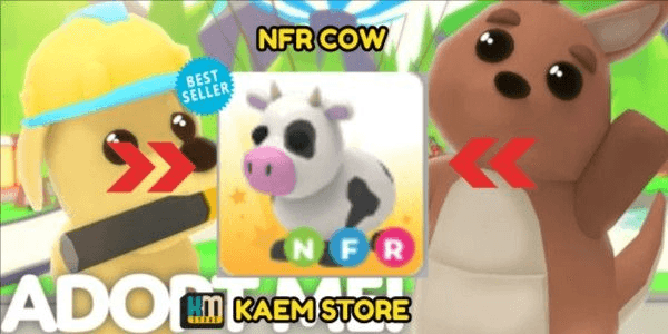 Gambar Product Cow NFR