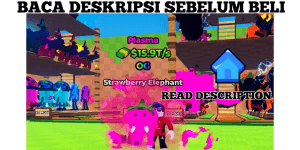 STRAWBERRY ELEPHANT PLASMA 15T/S