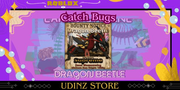 Gambar Product Dragon Beetle - Supreme Bugs