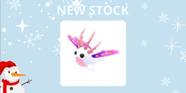 Gambar Product NP Seaslug