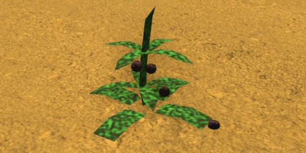 Product Showcase