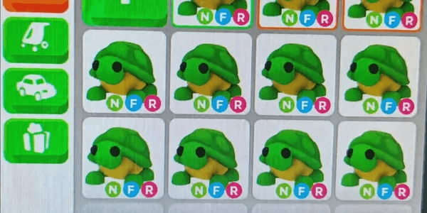 Turtle NFR