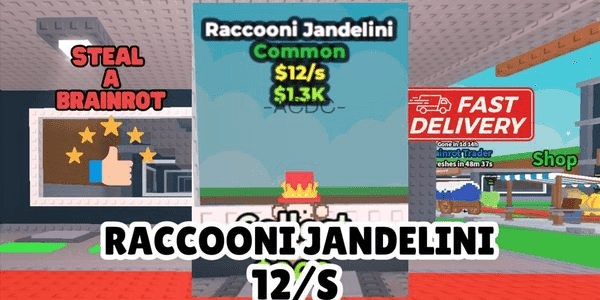 Gambar Product Raccooni Jandelini