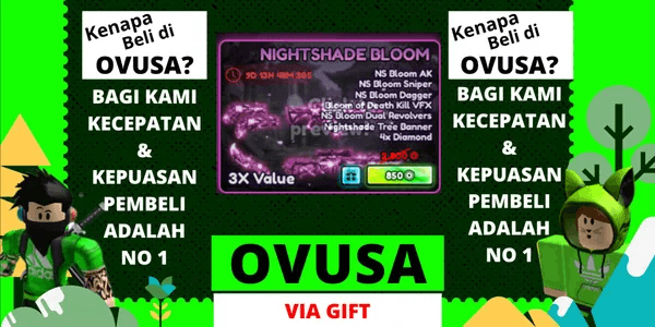 Limited Bundle 2
