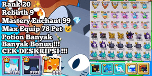 Rank 20 Account + Max Rebirth | MANY BONUSES - Pet Simulator 99!