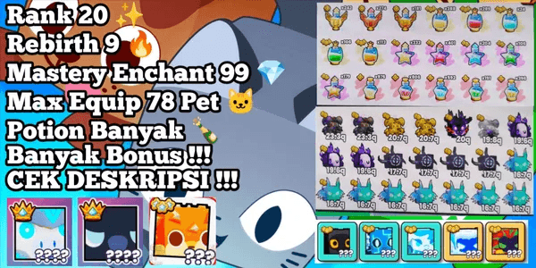 Rank 20 Account + Max Rebirth | MANY BONUSES - Pet Simulator 99!