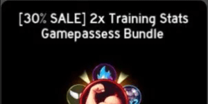 Anime Fighting Simulator Endless - 2x Training Stats Gamepassess Bundle【899R】