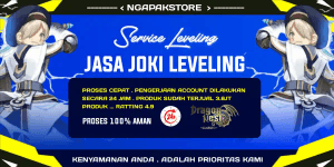 Service Leveling 1-60 Server Geraint