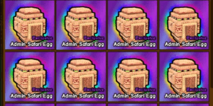 1 admin safari egg