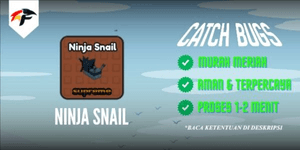 Ninja Snail - Catch Bugs!
