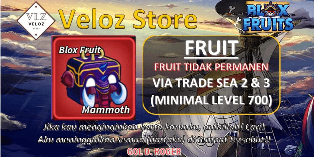 Product Showcase