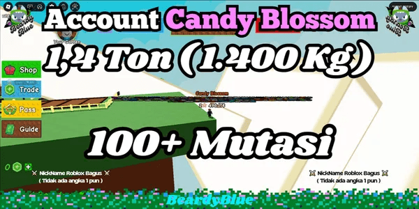 Account Grow A Garden | Instant Delivery #14