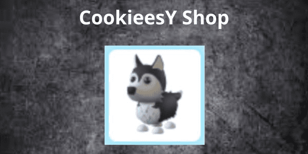 Gambar Product Adopt Me Trading Hub Husky Normal - (Rare)